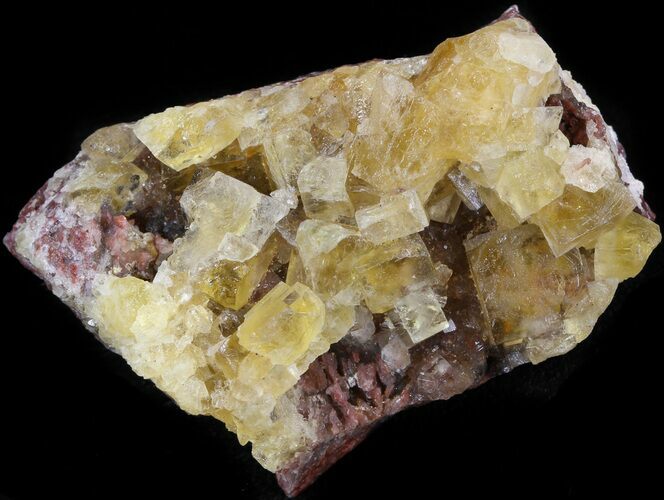Lustrous, Yellow Cubic Fluorite Crystals - Morocco #44894